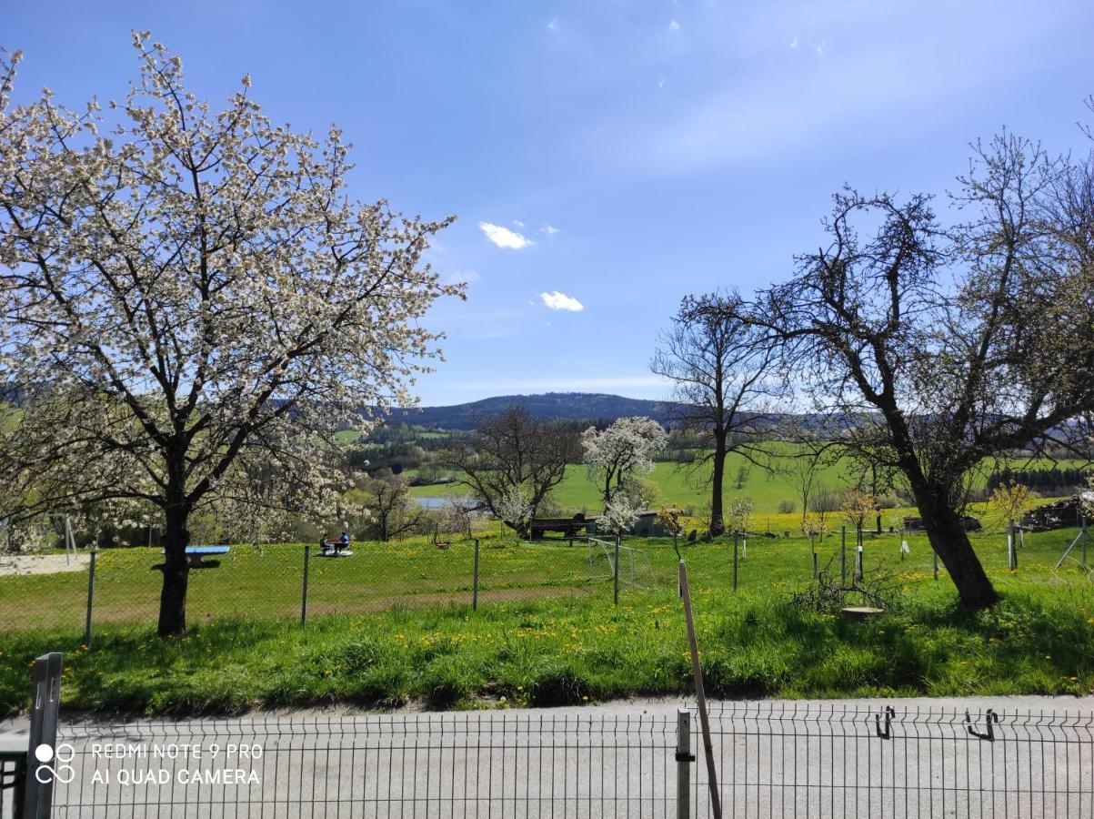 Apartman Sumava U Rybaku Volenice  Exterior foto